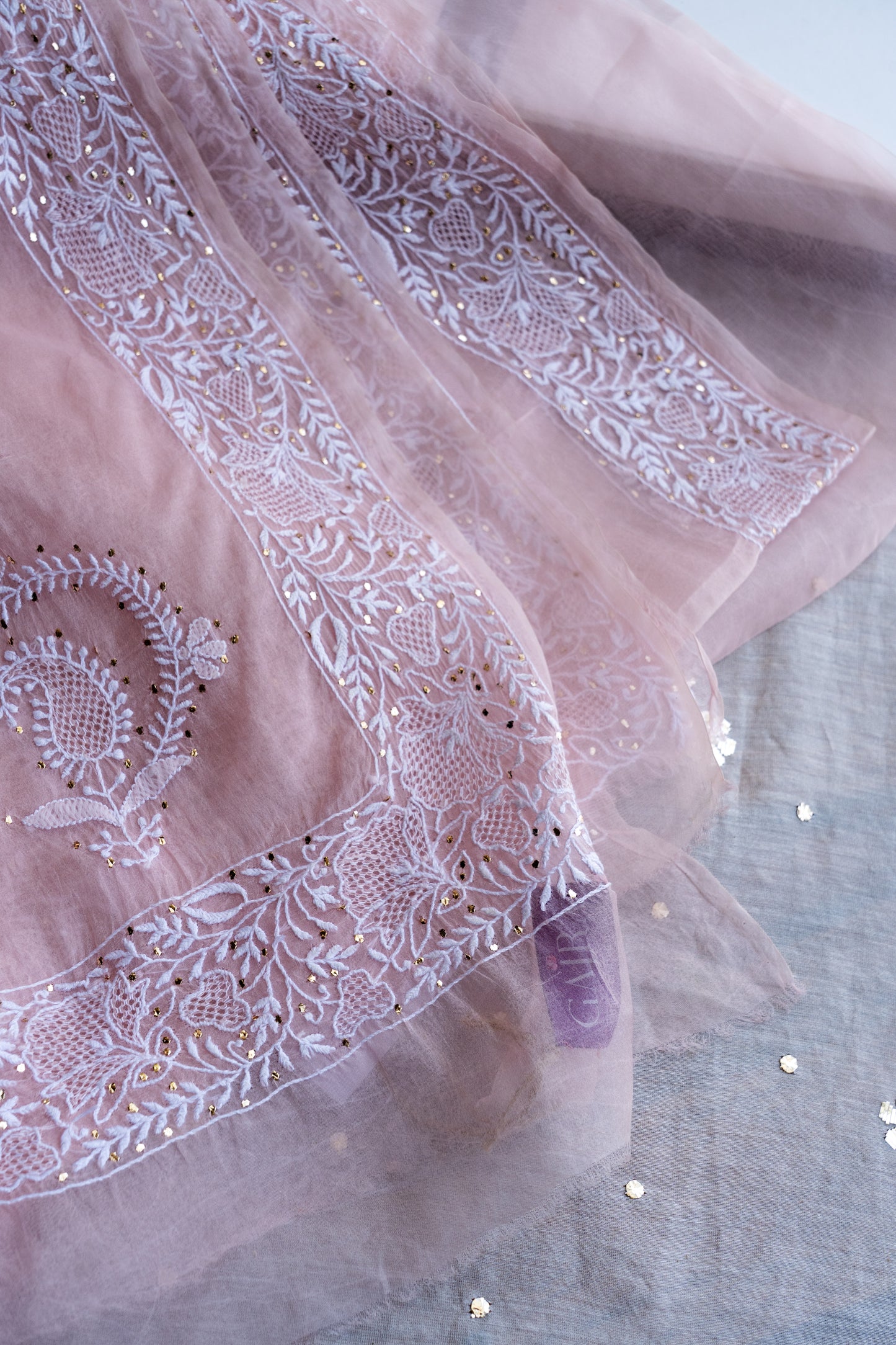 Madhubala- Blush Pink Chikankari Saree in Organza