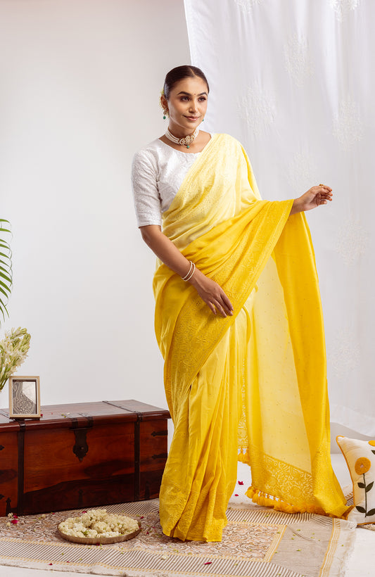 Maharani Ombrรฉ - Silk Chanderi Chikankari Saree