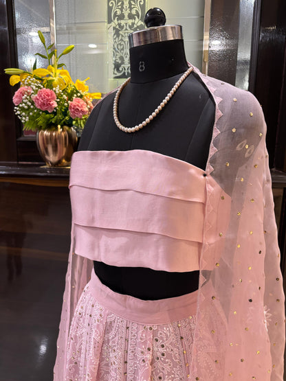 Custom Chikankari and Mukaish Georgette Lehenga with Organza Dupatta