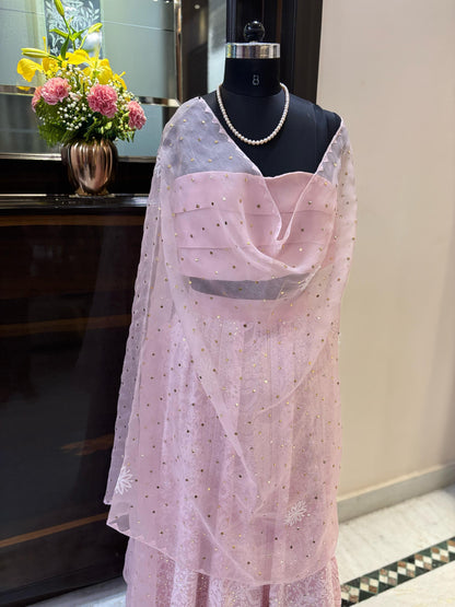 Custom Chikankari and Mukaish Georgette Lehenga with Organza Dupatta