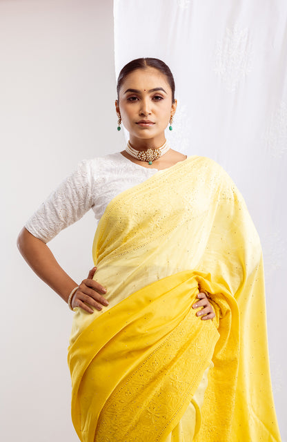 Maharani Ombré - Silk Chanderi Chikankari Saree