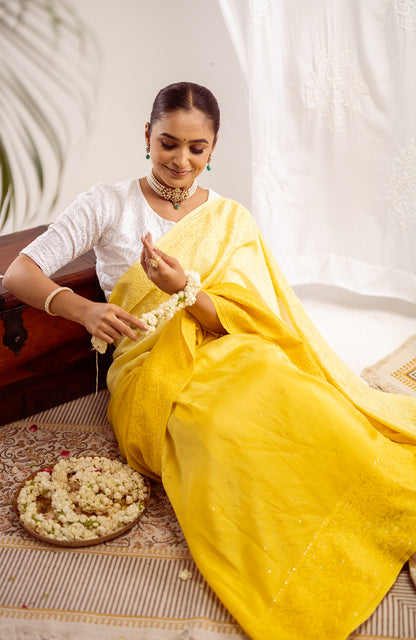 Maharani Ombré - Silk Chanderi Chikankari Saree