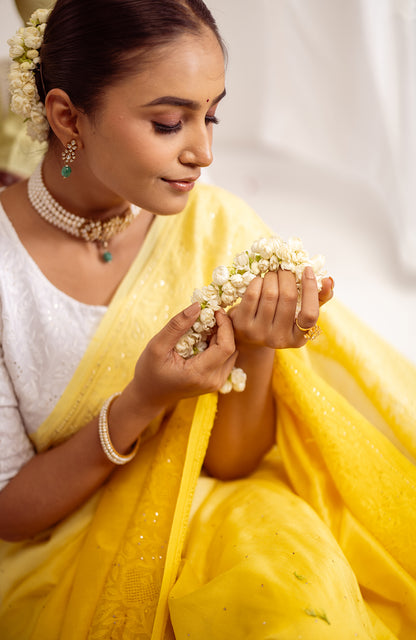 Maharani Ombré - Silk Chanderi Chikankari Saree