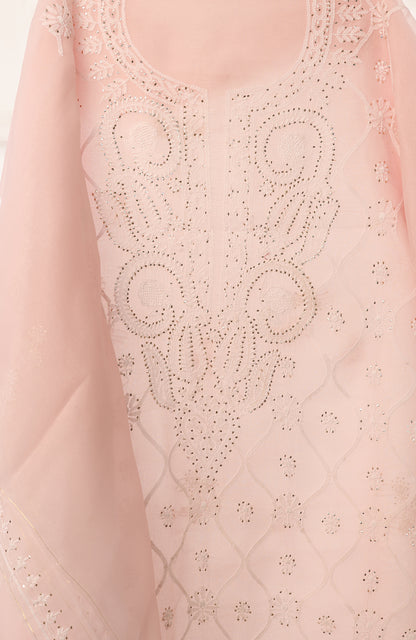 Chandani- Organza Chikankari Suit