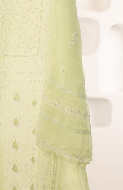 Neon Magic- Mul Chanderi Chikankari Suit