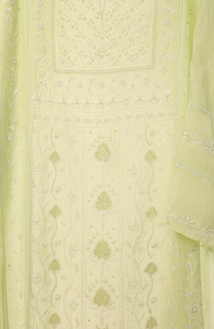 Neon Magic- Mul Chanderi Chikankari Suit